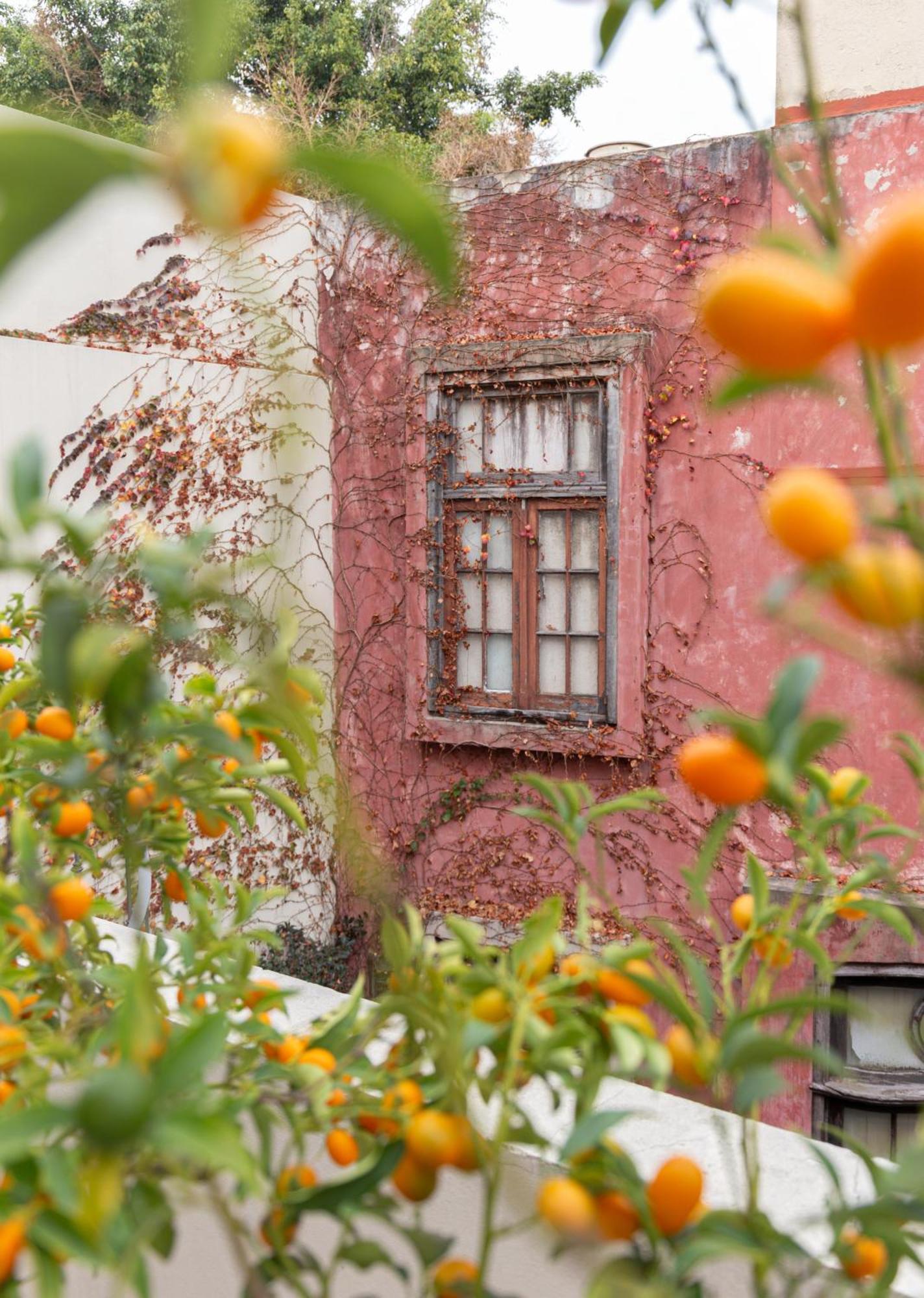 Casa Chic Palermo Soho Otel Buenos Aires Dış mekan fotoğraf
